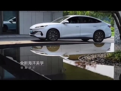 Siegel06 Auto