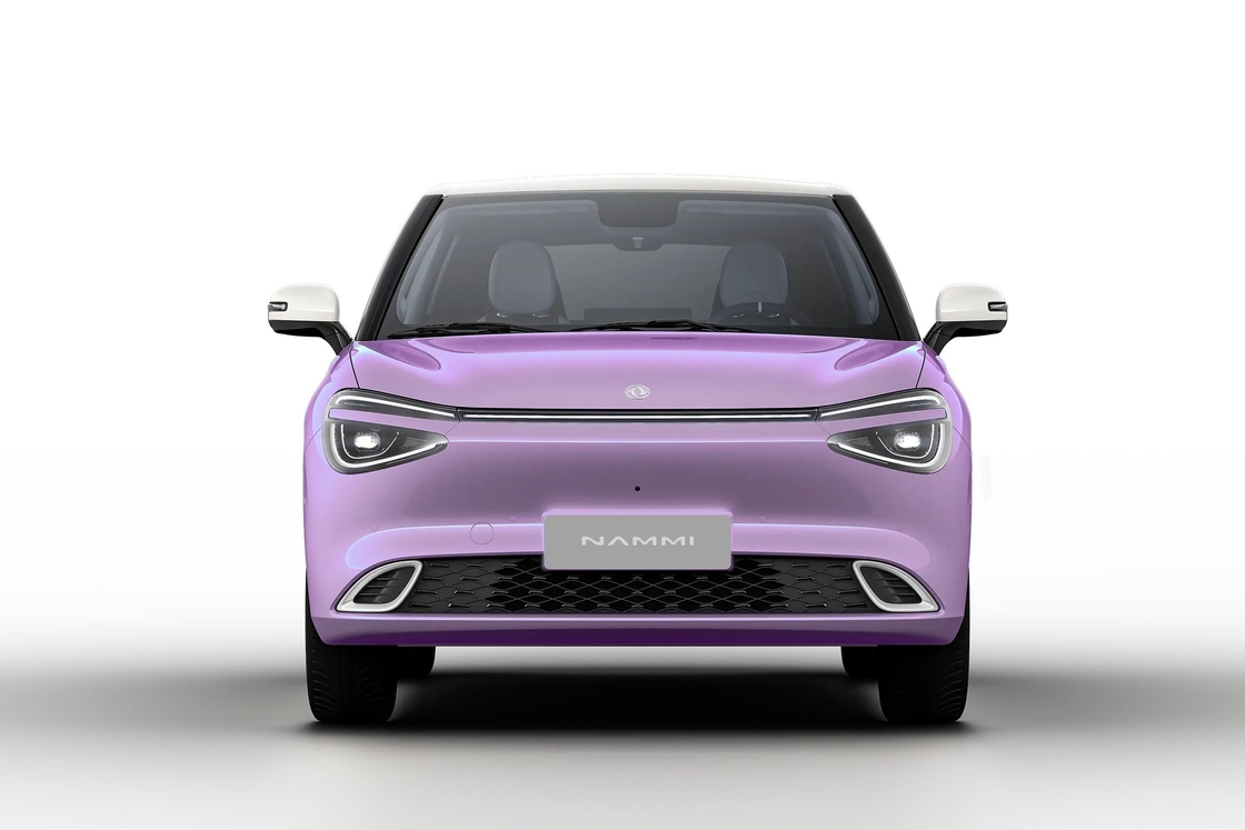 2024 Neue Ankunft Kleines Elektrofahrzeug EV Dongfeng Box Nammi 01 330km RHD Nano 01 mit Gewährleistung Rechtslenker Auto